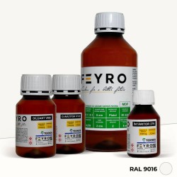 Kit vopsea MDF RAL 9016