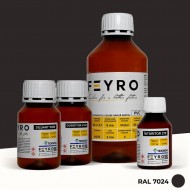 Kit vopsea PVC RAL 7024