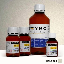 Kit vopsea sticla RAL 9006